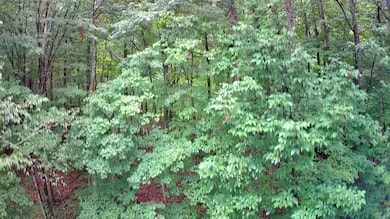 IMG_20250709_1704035