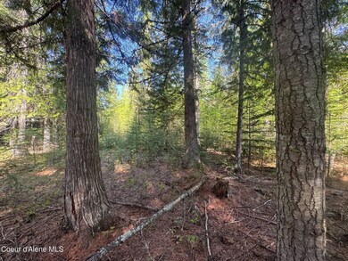 NNA Backroads Way Lot 3, Priest River, ID 83856 - photo 4