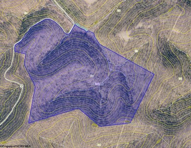 Parcel 22 Little Rowels Run, Creston, WV 26141 - photo 5