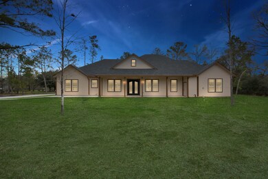 23507 Roberts Cemetery Rd, Hockley, TX 77447 - photo 3