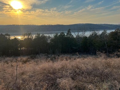 000 Lakebreeze Cir, Theodosia, MO 65761 - photo 3