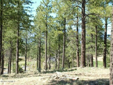 Lot 52