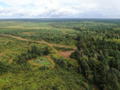 Mt Gilead Rd, Holly Springs, MS 38635 - photo 2