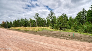 C Bar Estates July 2025 - Lot 28-1