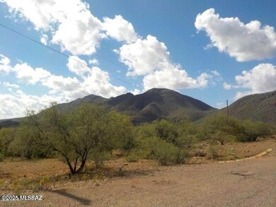Panoramic mountain view
