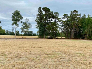 TBD Wise Farm Rd unit Parcel C, Aynor, SC 29511 - photo 4