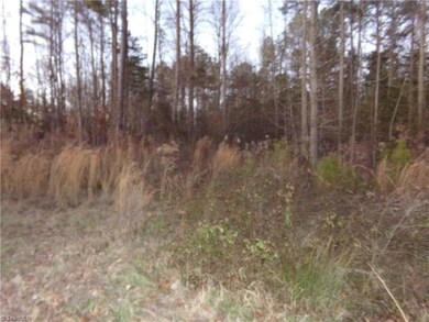 Tract 6 E Fork Dr, Seagrove, NC 27341 - photo 3