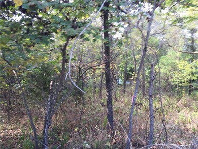 0 Partney Cir, Bella Vista, AR 72715 - photo 2