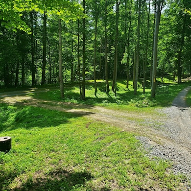 0 Deeter Ridge Rd, Frankford, WV 24938 - photo 5