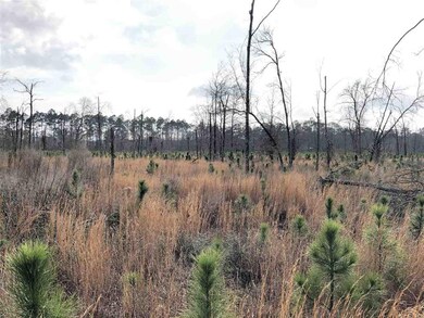 XXXX Coastal - Lot 4 Hwy, Crawfordville, FL 32327 - photo 5