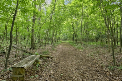 VL Douglas Ave, Plainwell, MI 49080 - photo 7