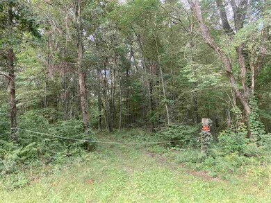 60 Acres 22nd St, Cutler, WI 54618 - photo 7