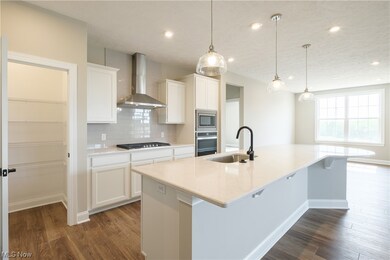 Kitchen with dark hardwood floors, kitchen island with sink, backsplash, white cabinets, wall chimney range hood, light countertops, pendant lighting, and stainless steel appliances