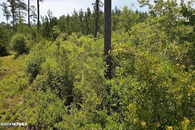 00 Old Lake Rd, Riegelwood, NC 28456 - photo 5