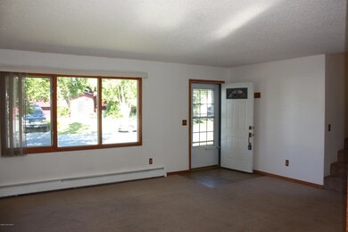 Entry & Front windows