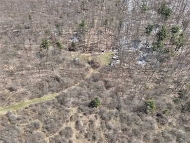 v/l Bunker Hill Rd, Cold Spring, NY 14772 - photo 5