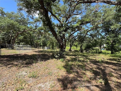 0 Turtle St unit MFRTB8377054, Ridge Manor, FL 33523 - photo 3