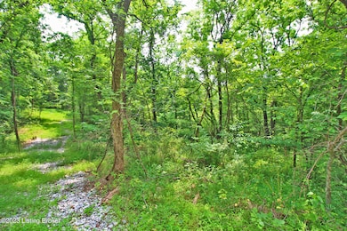 9449 Bob Rogers Rd, Frankfort, KY 40601 - photo 5