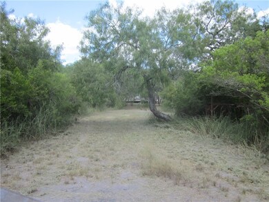 5025 Fm 888, Beeville, TX 78102 - photo 3