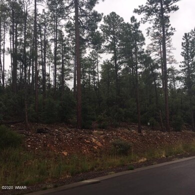 2321 S Bristlecone Dr, Show Low, AZ 85901 - photo 4