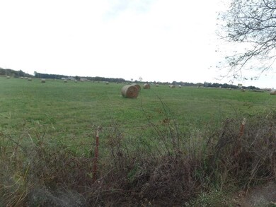 6883 Pine St, Colcord, OK 74338 - photo 6