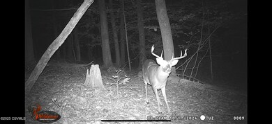 156 Shaffer Hill Rd, Selinsgrove, PA 17870 - photo 3