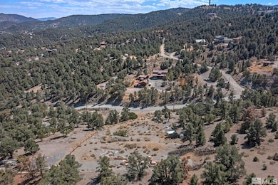 21490 Sazarac Rd, Reno, NV 89521 - photo 7