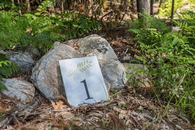 Lot 1 Brixham (Stonecrop Farm Lot 1) Rd, Eliot, ME 03903 - photo 5