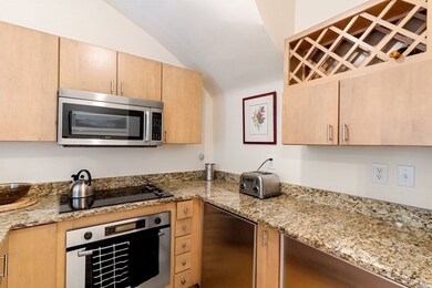 8 Greenwich Park-Furnished unit Two, Boston, MA 02118 - photo 6