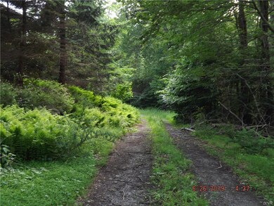 7597 Route 191, Cresco, PA 18326 - photo 4