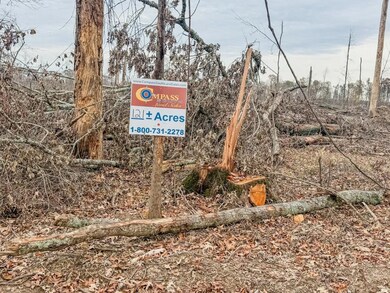 0 Big Creek Rd, Rison, AR 71665 - photo 6