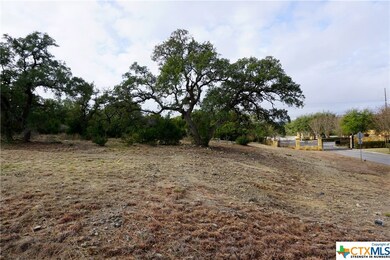 606 Angelica Vista, Canyon Lake, TX 78133 - photo 6