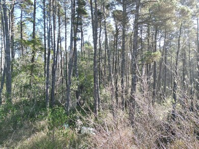 0 E Jupiter Ln unit 1202 738205258, Bandon, OR 97411 - photo 3