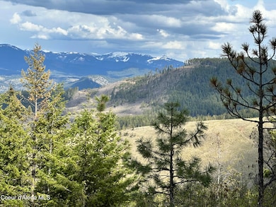 NKA 10 Acres, Plummer, ID 83851 - photo 4