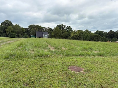 Lot 1A Riverview Cir, Scottsville, KY 42164 - photo 2