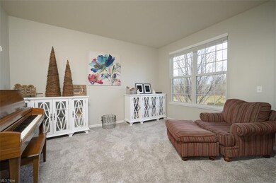 635 Joseph Dr, Aurora, OH 44202 - photo 6