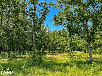 0 Peach Orchard Rd, Brent, AL 35034 - photo 3