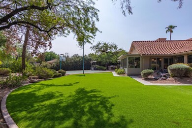 Oversized Grassy Yard