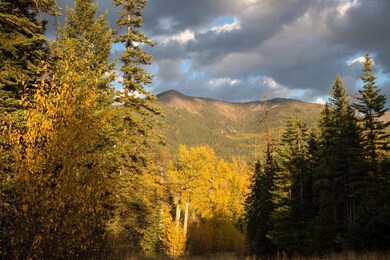 Lot 25 Orvis Evans Dr, Bigfork, MT 59911 - photo 3