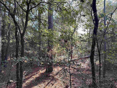 TBD County Road 1707, Jacksonville, TX 75766 - photo 4