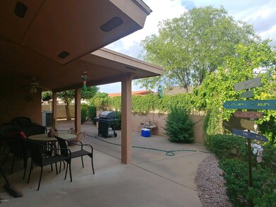 Back Patio 2