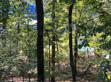 323 Red Oak Cove, Saulsbury, TN 38067 - photo 6