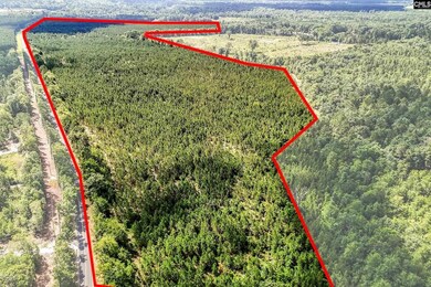 4000 Old Ninety Six Indian Trail, Wagener, SC 29164 - photo 2