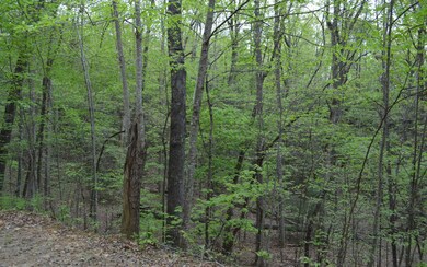Additional View