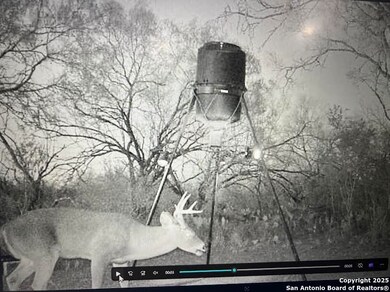 3287 Cr 349, Charlotte, TX 78011 - photo 7