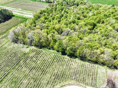 VL Benny Ct (Private) unit Parcel 3, Grand Junction, MI 49056 - photo 6