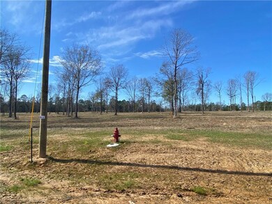 0 Sophie Ln unit Lot 52 CN164382, Dry Prong, LA 71423 - photo 6
