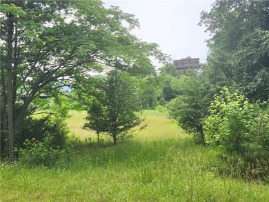 View of local wilderness