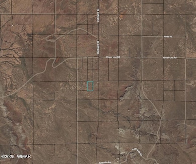 0 Power Line Rd unit 255565, Woodruff, AZ 85942 - photo 2