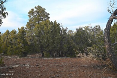 51844 N Cordero Rd unit 3383, Seligman, AZ 86337 - photo 5